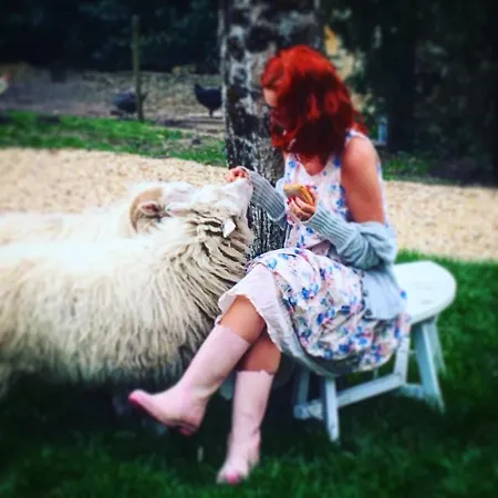 Bed & Breakfast Montaurand Rougnac