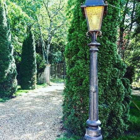 Montaurand Oda ve Kahvaltı *